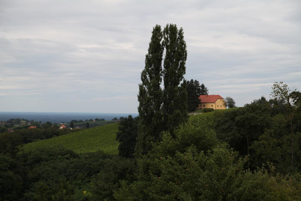 Holiday Home Maderka Strigova Εξωτερικό φωτογραφία