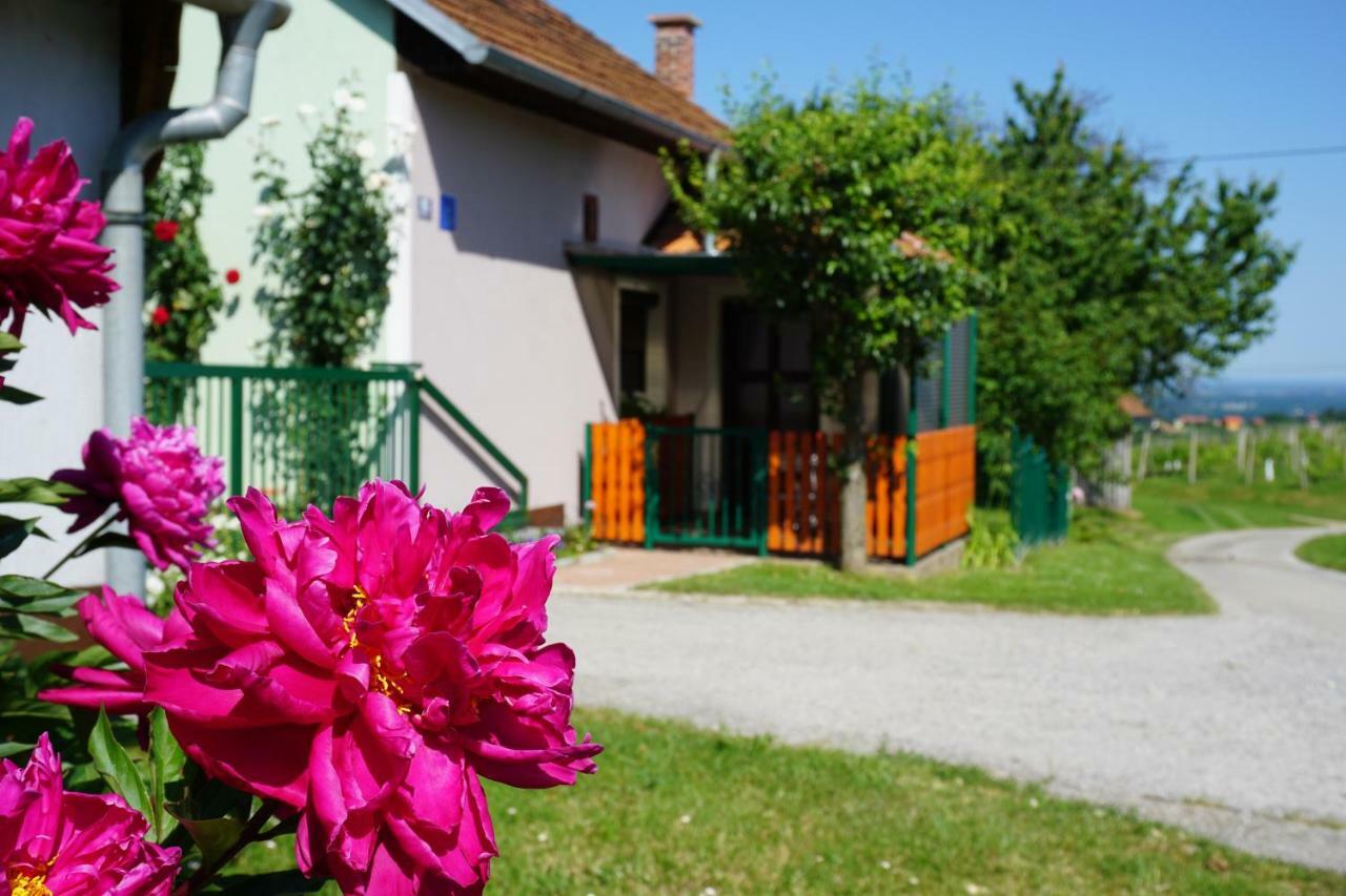 Holiday Home Maderka Strigova Εξωτερικό φωτογραφία
