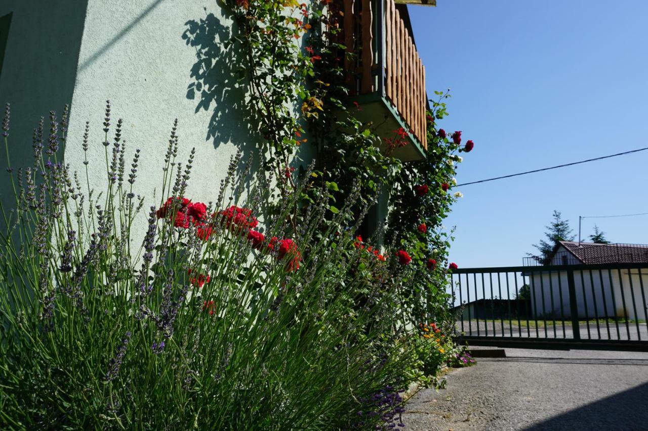 Holiday Home Maderka Strigova Εξωτερικό φωτογραφία