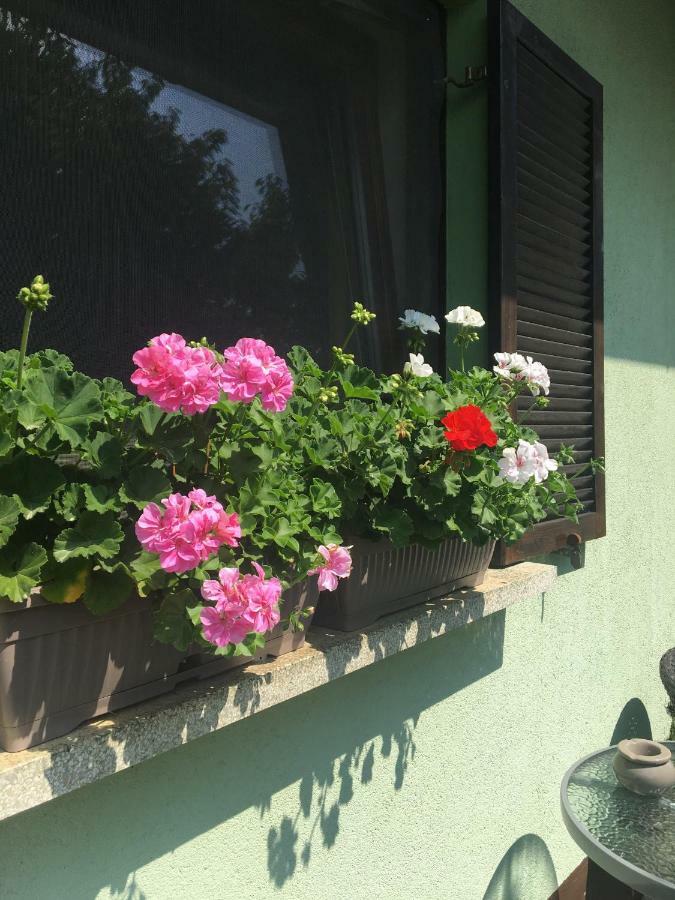 Holiday Home Maderka Strigova Εξωτερικό φωτογραφία